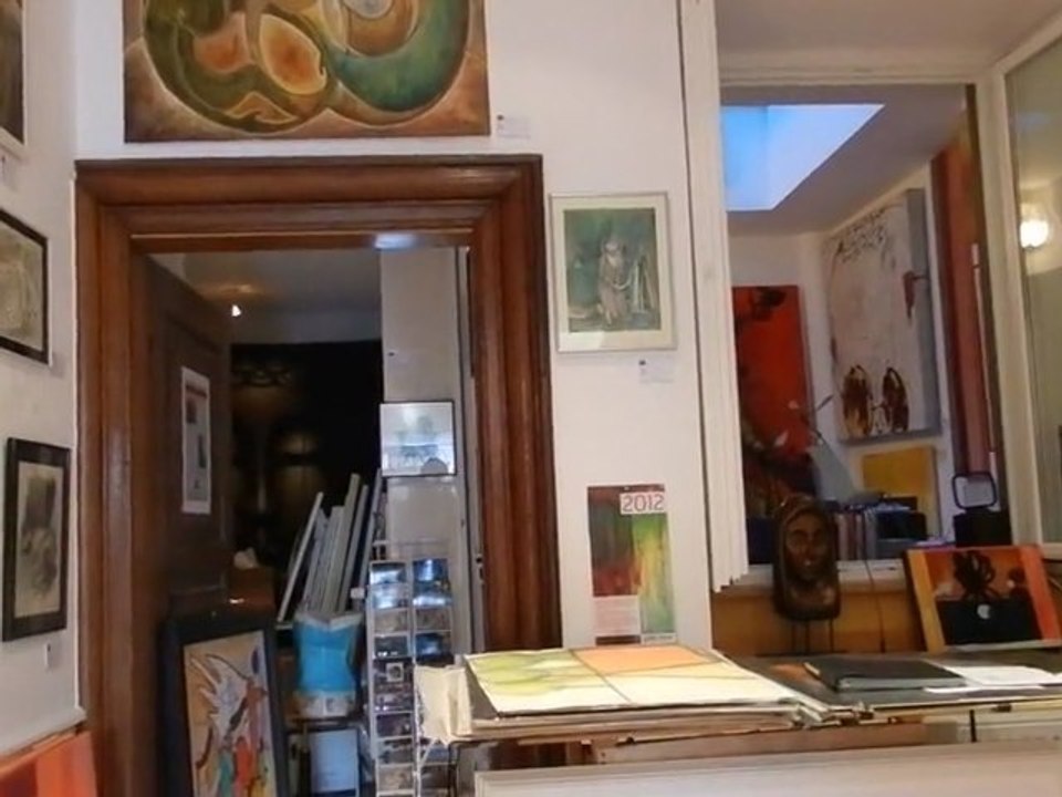 Exposition Ungerer Nicolas et Bentz Aurélie / Janvier 2012