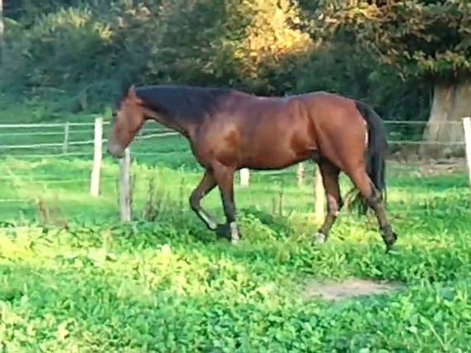 video-2011-10-05-18-15-41