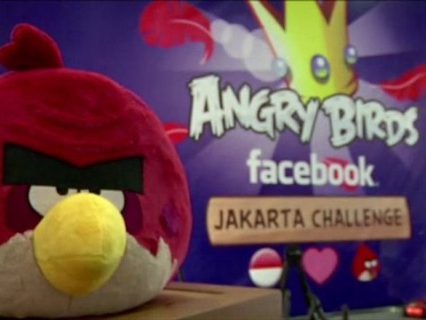 Le jeu à succès Angry Bird à la conquête de Facebook