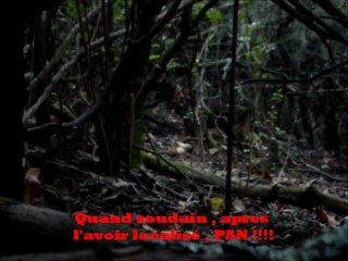 15-02-2012 Ferme de spina sur un sanglier de 36 kg !!!