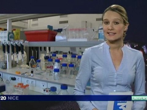 Nice : Laboratoires d'excellence