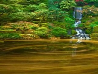 Wybacz Przepraszam Cię