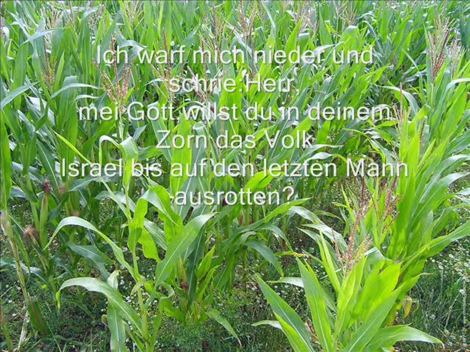 Filmclip Das Gericht über Jerusalem!2