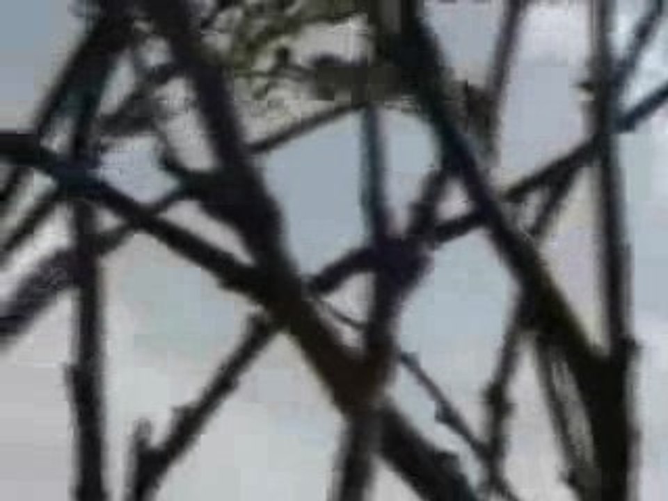Apache and A-10 VS Taliban