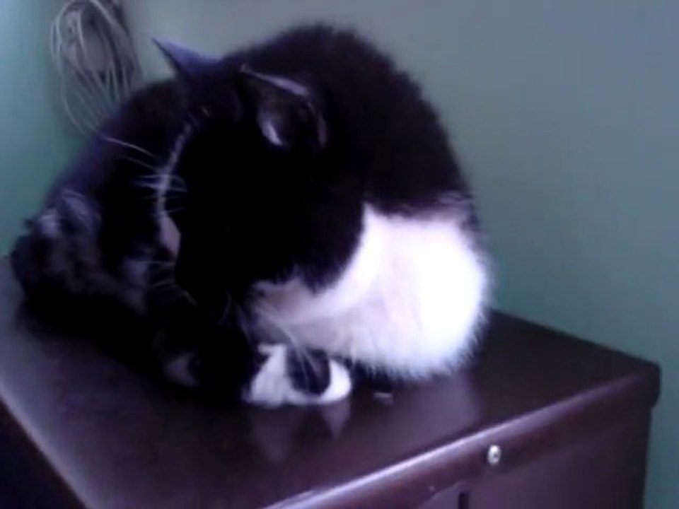 Zimowy thriller