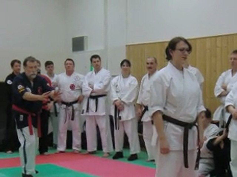 Projection d'énergie à distance lors du stage de Kyusho-Jitsu de Hersbruck le 11/02/2012