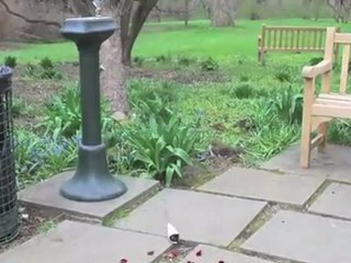 Alex Feather Akimov (Featuring Frank Gambale) Beautiful Lani