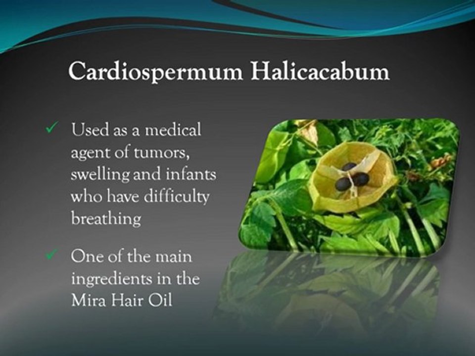 Ingredients of Mira Hair Oil