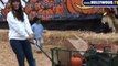 Punky Brewster (Soleil Moon Frye) Day at the Pumpkin Patch 10 15 10 HTV
