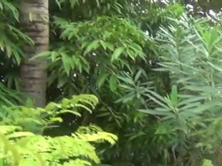 Cap Juluca's villa 6 is also known as Cinnabar