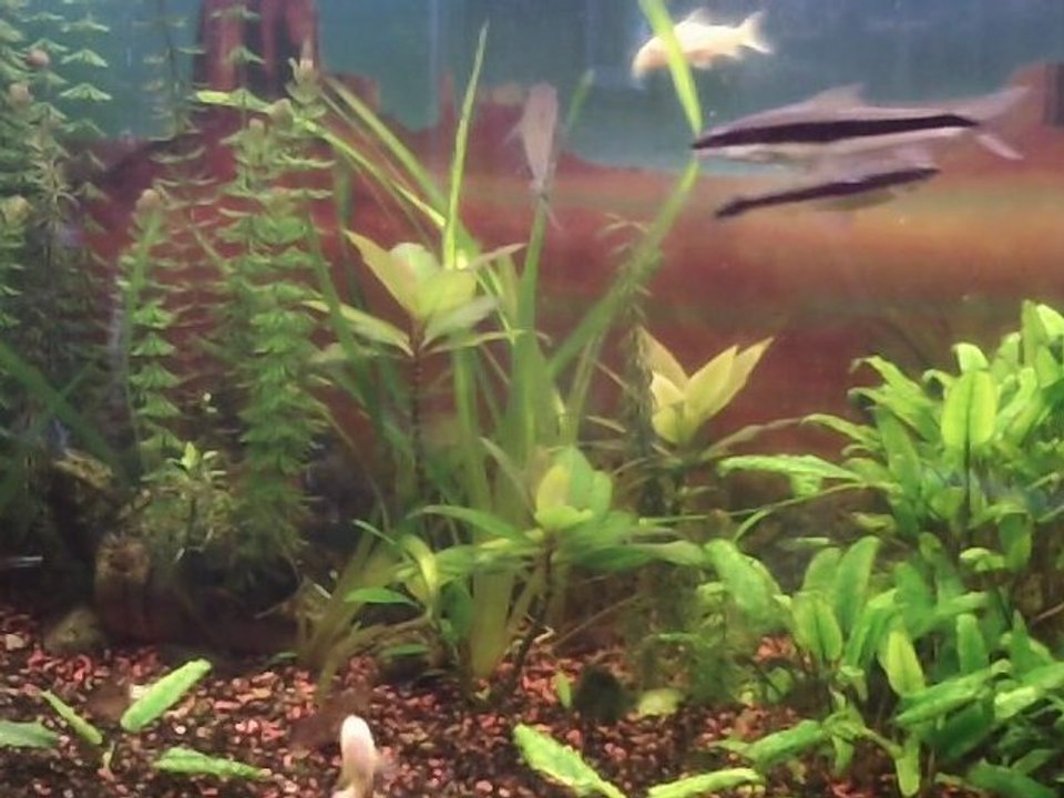 Version lente  de  "LE VILLAGE DE MON ENFANCE"         Méth. COLIN..