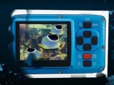Affordable Underwater Cameras