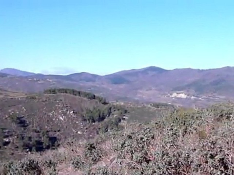 Les baladins