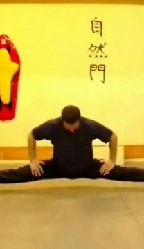 Школа Кунг фу Chuan-shu . Стиль czyzhan men . Москва.