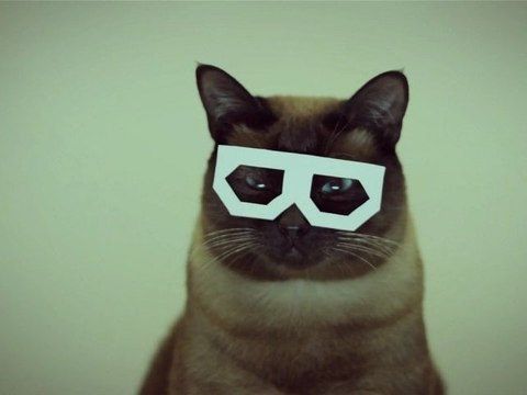 Hipster Cat Dubstep