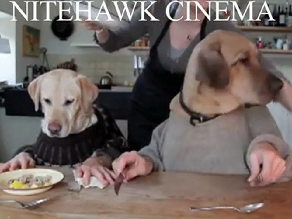 BRUNCH Dogs