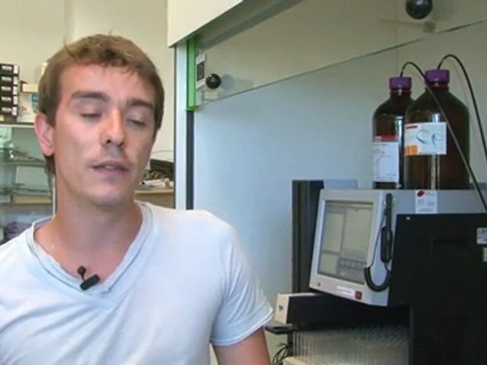 Gregory Cristofari - Projet Ressources Naturelles