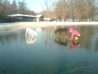 sur la glace pour les fortuna majeur