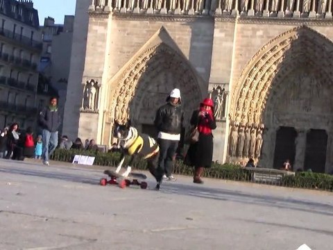 Amazing Neo Tuxedo back again skateboarding in Paris