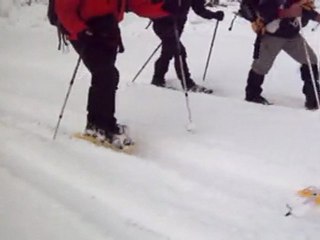 kavruna gidiş başladı