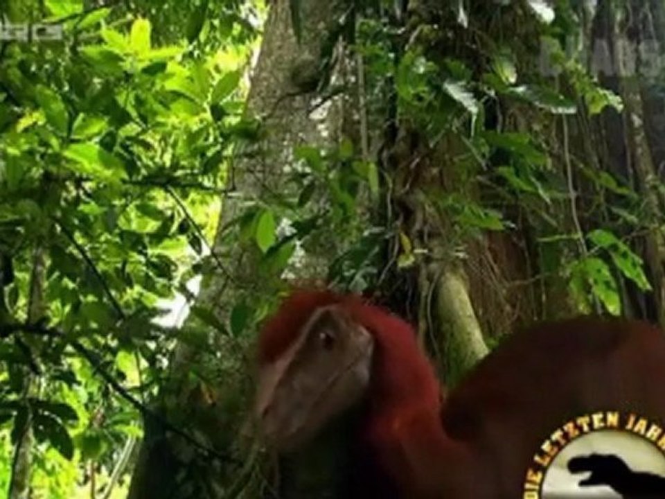 Vor 80 Millionen Jahren 3- Die letzten Jahre der Dinosaurier - Flucht auf die Insel