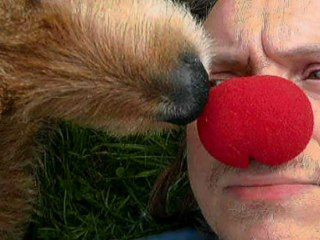 Franck Lepage le 13 février 2012 sur Là-bas si j'y suis