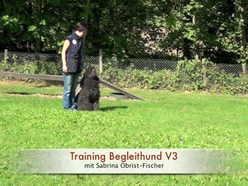 Training Begleithund V3