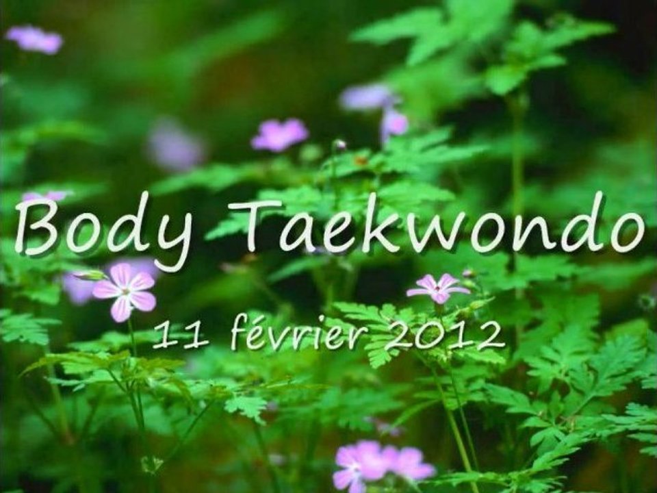 body taekwondo