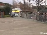Japanese Animal Escape Drill