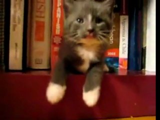 That&apos;s One Way To Fall Asleep