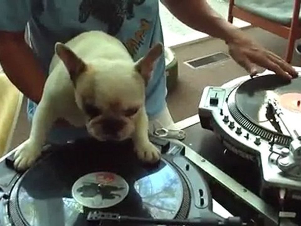 Hey Dj