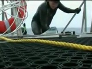 La malédiction du plastique 1 sur 5