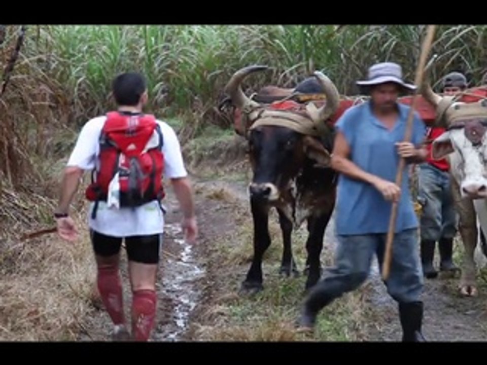 Teaser Transtica 2012