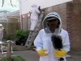 Bees Turned House Into Hive For 10 Years
