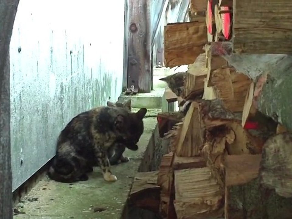 le retour de monette