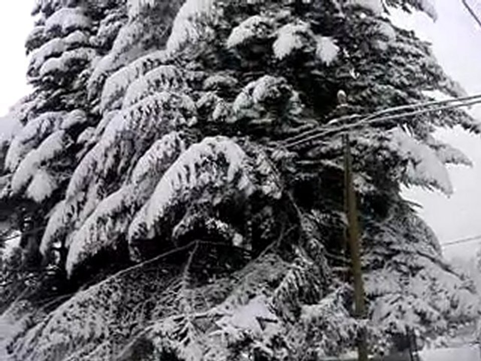 neve