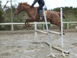 16.02.2012 - Triple - Tsar (TF)