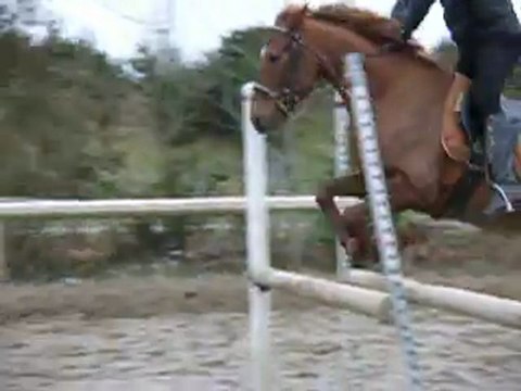 16.02.2012 - Triple - Tsar (TF) 2