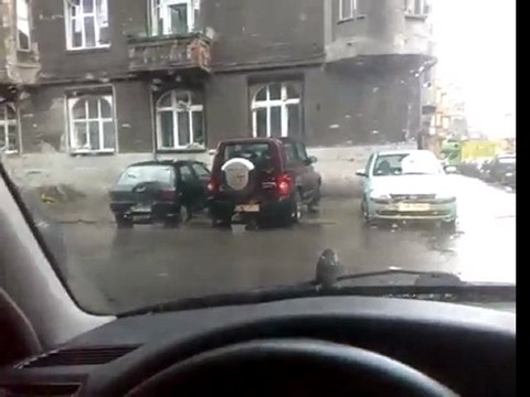 Sparrow Attached To The Windshield Wipers!