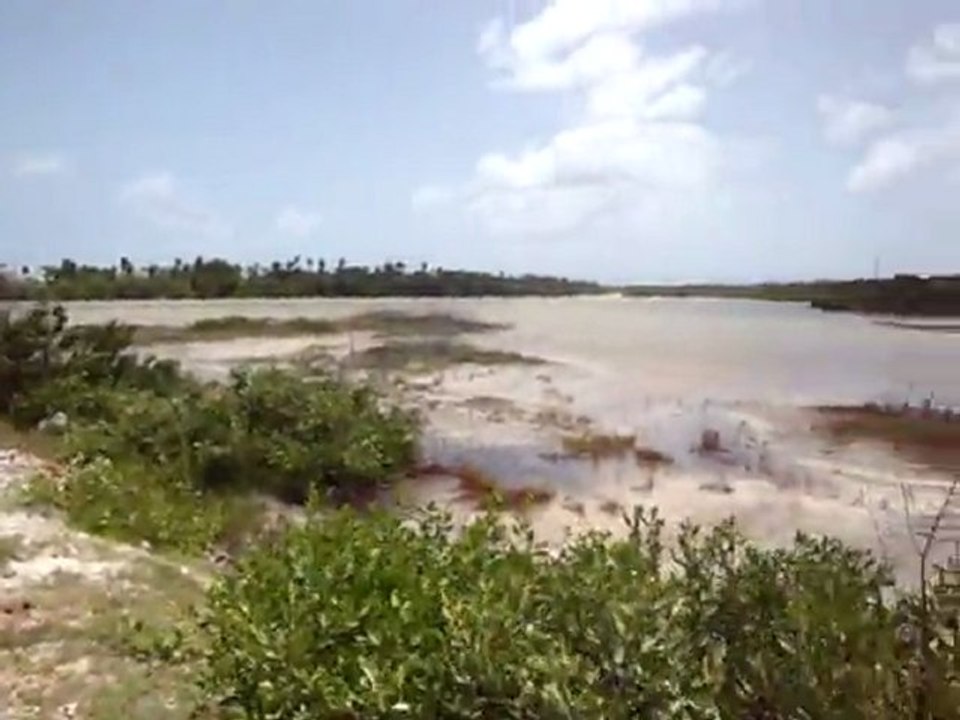 Anguilla's Gull pond  along Maundays Bay road video 1