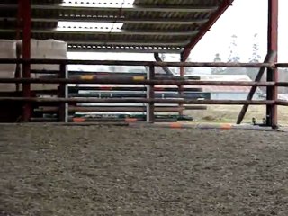 saut avec filou écurie de neveztell