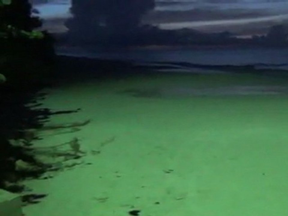 Anguilla's Long Bay