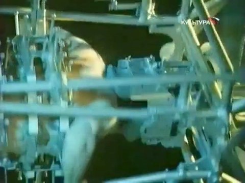 27 В Высоцкий 'Баллада об уходе в рай'