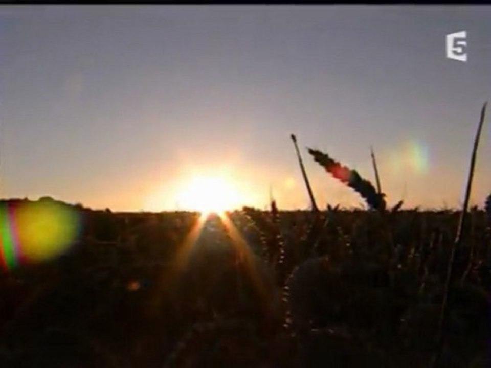 Aux Frontieres Du Surnaturel - Les Cercles De Culture