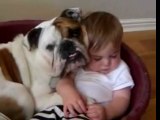 British Bulldog Missy watches over little baby H