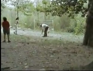 font del cuni 2010 1 1