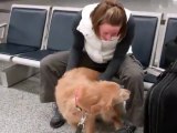 Dog Sees Mom, Just Home From Afghanistan !