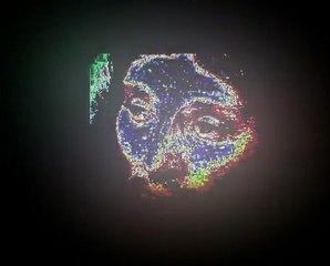 Magnetic Fluxes of Love