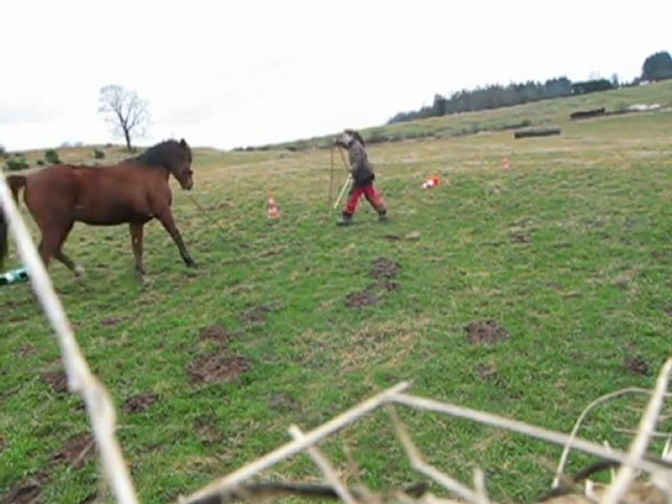 Slalom