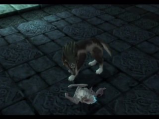 Zelda : Twilight Princess - Wii - 16/Au Secours de Midona